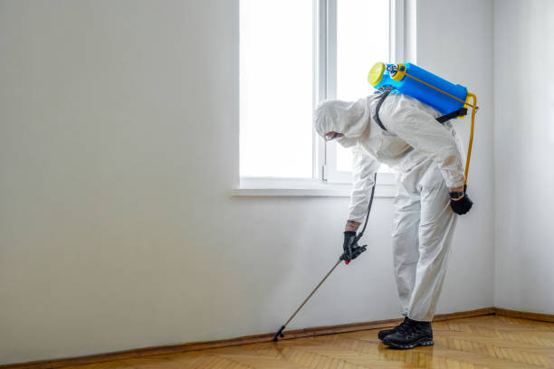Best Rodent Control Near Me  in Cary, IL