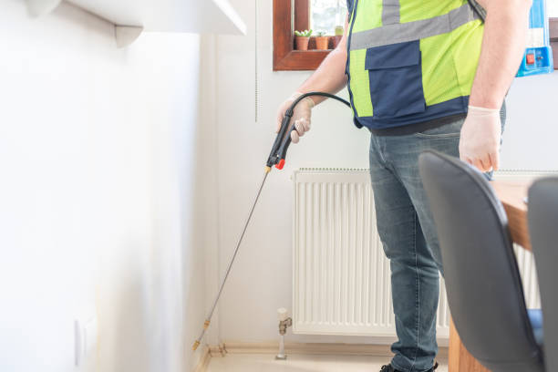 Best Spider Control Near Me  in Cary, IL