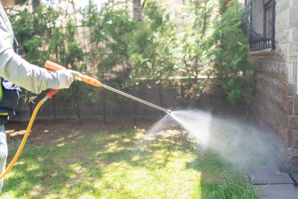 Best Mosquito Control Services  in Cary, IL