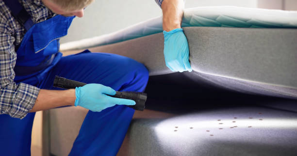 Best Cockroach Control Services  in Cary, IL