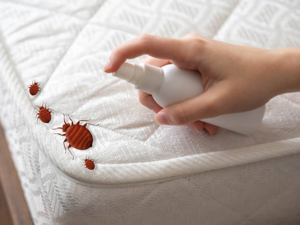 Best Pest Control Near Me  in Cary, IL